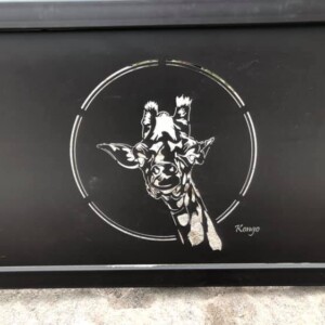 pairi daisa plaque
